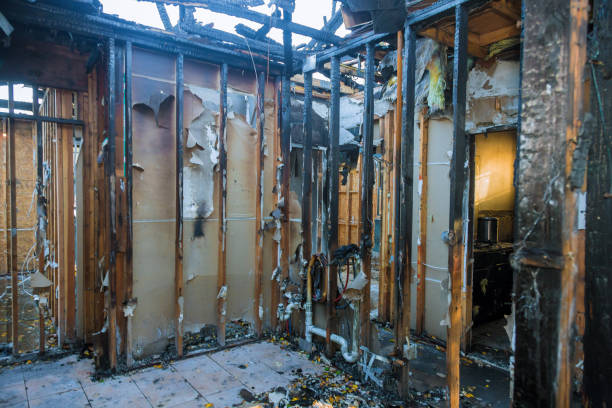 Professional Fire Damage Removal technician working in Lake Mary, FL