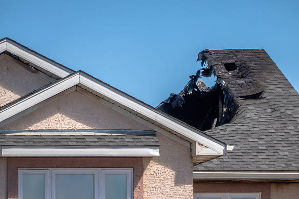 Top rated local Fire Damage Removal specialists in Lake Mary, FL
